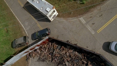 twd0603-2067.jpg