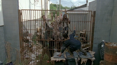 twd0603-2432.jpg