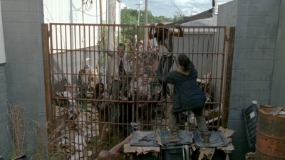 twd0603-2435.jpg