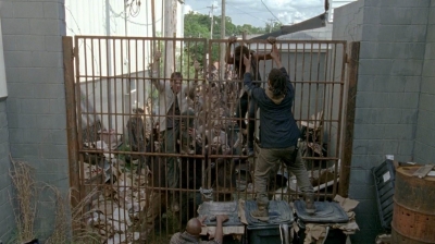 twd0603-2436.jpg