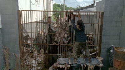 twd0603-2437.jpg