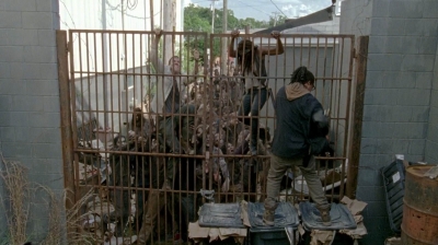 twd0603-2441.jpg