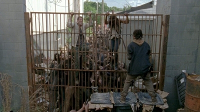 twd0603-2443.jpg