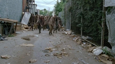 twd0603-2471.jpg