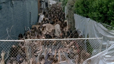 twd0603-2630.jpg