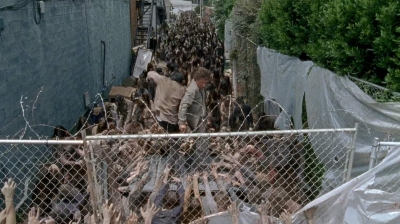 twd0603-2631.jpg