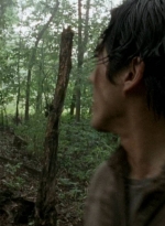 twd0603-0005.jpg