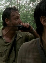 twd0603-0010.jpg