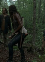 twd0603-0102.jpg