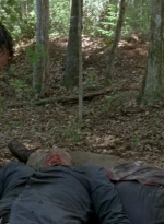 twd0603-0265.jpg