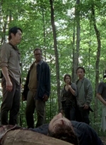 twd0603-0294.jpg