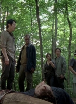 twd0603-0295.jpg