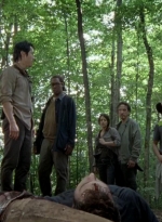 twd0603-0300.jpg