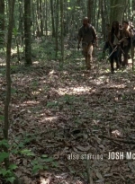 twd0603-0305.jpg