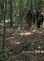 twd0603-0306.jpg