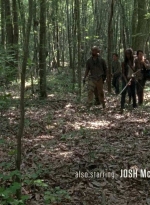 twd0603-0307.jpg