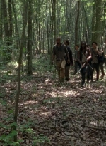 twd0603-0308.jpg