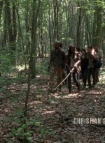 twd0603-0310.jpg