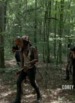 twd0603-0357.jpg