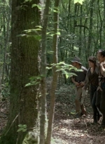 twd0603-0361.jpg