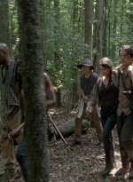 twd0603-0374.jpg