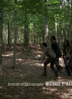 twd0603-0411.jpg