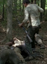 twd0603-0491.jpg