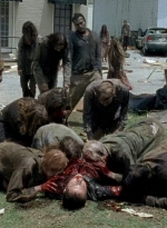 twd0603-1087.jpg