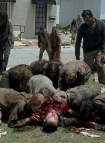 twd0603-1091.jpg