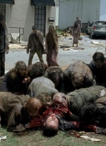 twd0603-1093.jpg