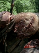 twd0603-1420.jpg