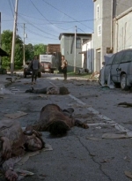 twd0603-1815.jpg