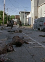 twd0603-1816.jpg