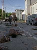 twd0603-1817.jpg