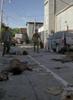 twd0603-1821.jpg