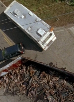 twd0603-2066.jpg