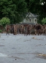 twd0603-2352.jpg