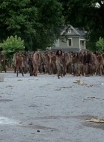 twd0603-2353.jpg