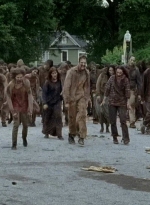 twd0603-2372.jpg