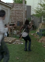 twd0603-2375.jpg