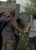 twd0603-2382.jpg