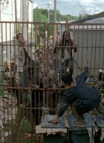 twd0603-2432.jpg