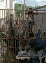 twd0603-2433.jpg