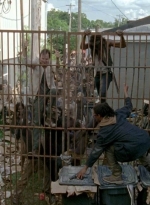 twd0603-2434.jpg