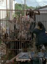 twd0603-2435.jpg