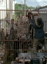 twd0603-2436.jpg