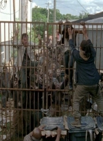 twd0603-2437.jpg