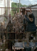 twd0603-2438.jpg