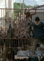 twd0603-2439.jpg