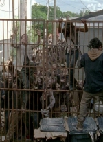 twd0603-2440.jpg